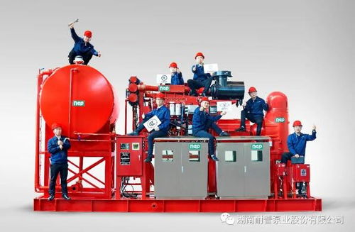 耐普泵業產品助力中國海洋裝備建設——中海油陸豐油田群區域開發項目柴油機消防泵組順利交付