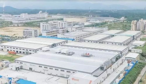 中國崛起為全球植物基食品重要市場，Omni新葷主義引領(lǐng)安心純素餐飲服務(wù)新潮流