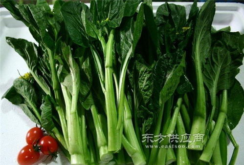 工廠膳食配送公司 南城公司 鮮津悅專業服務圖片